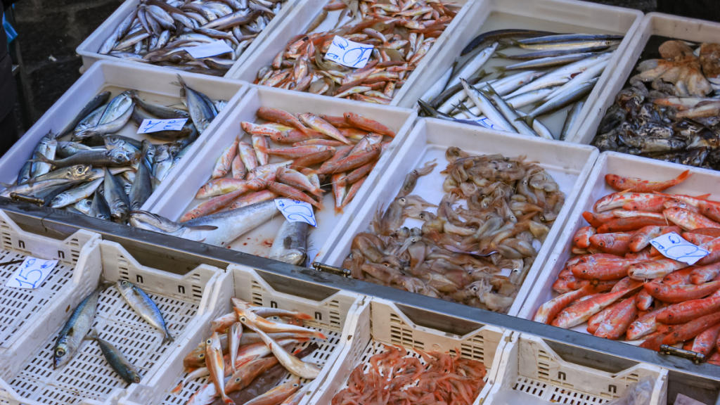 fish at the catania fish market